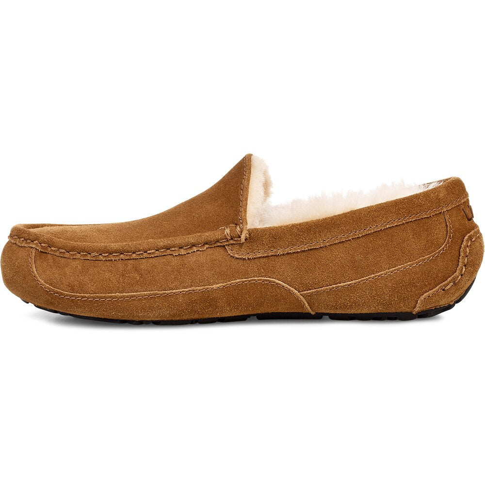 Ascot suede sale slipper ugg