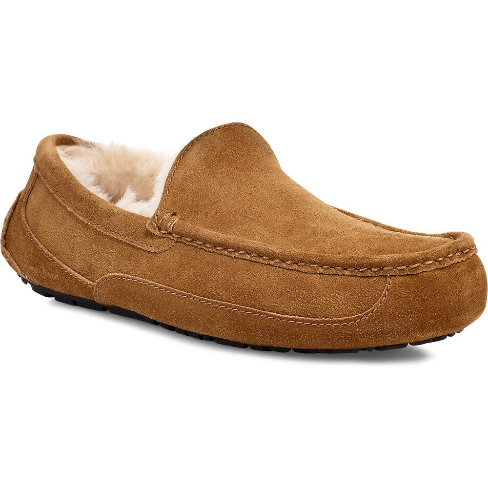 MENS ASCOT SUEDE SLIPPER UGG LOVER by PB Australia